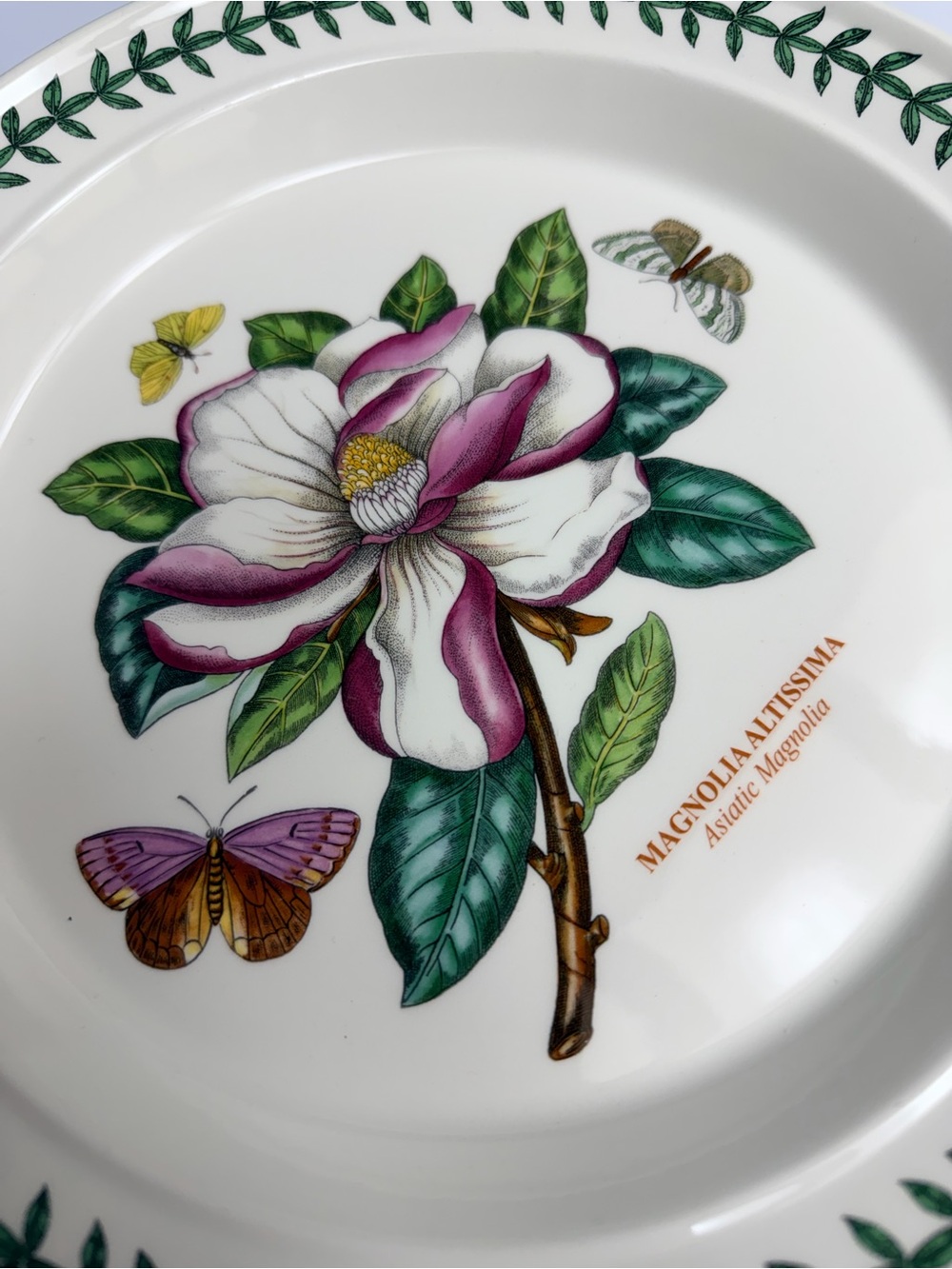 Portmeirion Botanic Garden Dinner Plate Magnolia Altissima Asiatic Magnolia 10.5 - Picture 4 of 6
